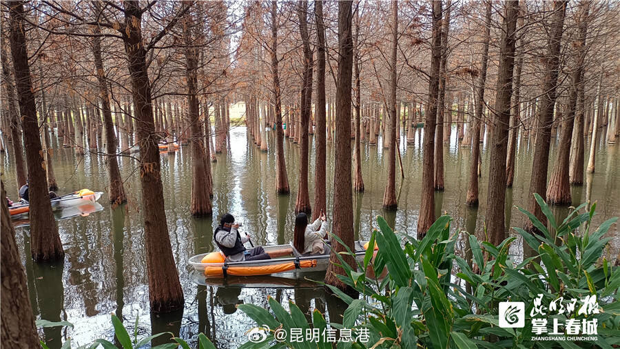 昆明信息港微博