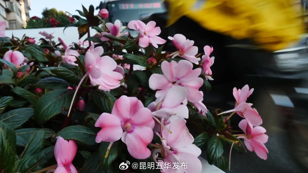 昆明五华发布