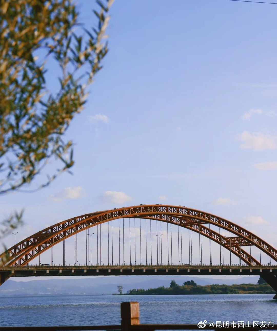 昆明市西山区发布
