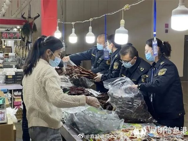 春城晚报