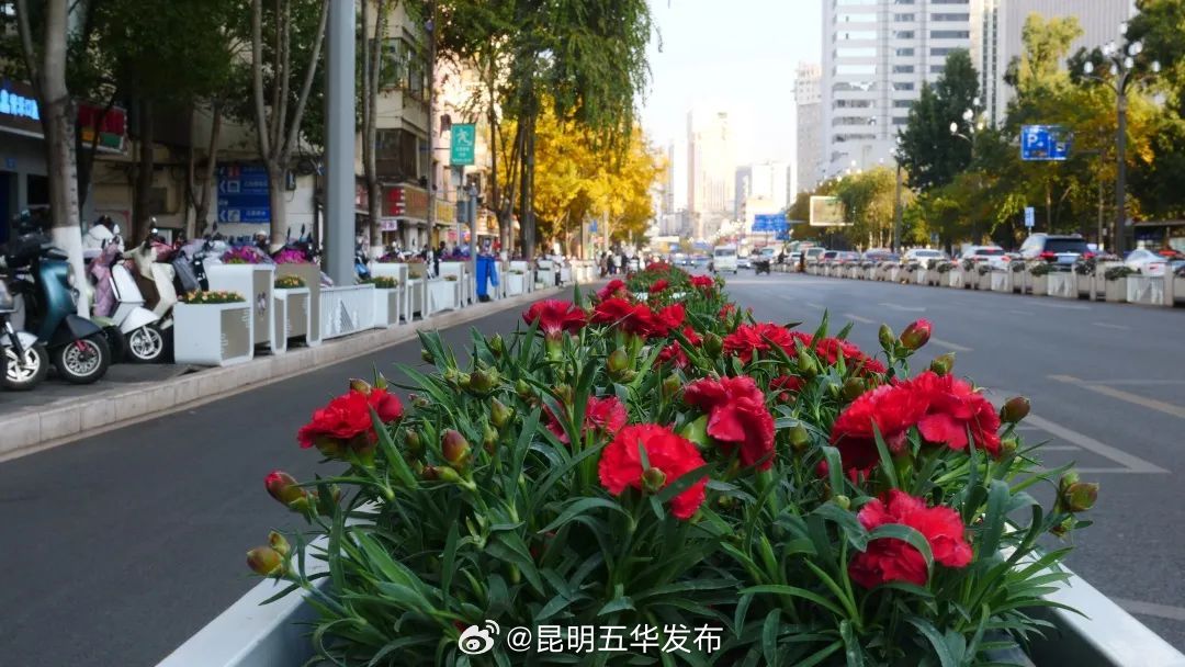 昆明五华发布