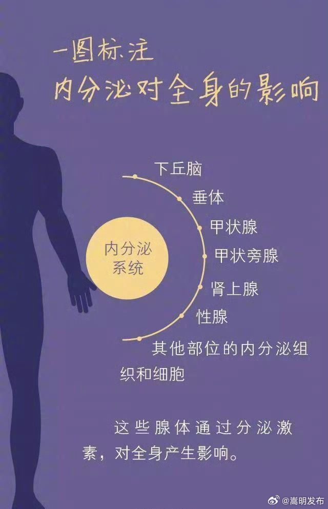 转发周知！6个方法调节内分泌系统_http://www.mainten.cn_ycb_第2张