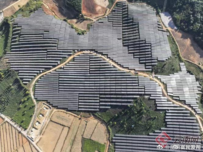 勐海县：茶光互补项目并网发电为乡村振兴增“光”添彩