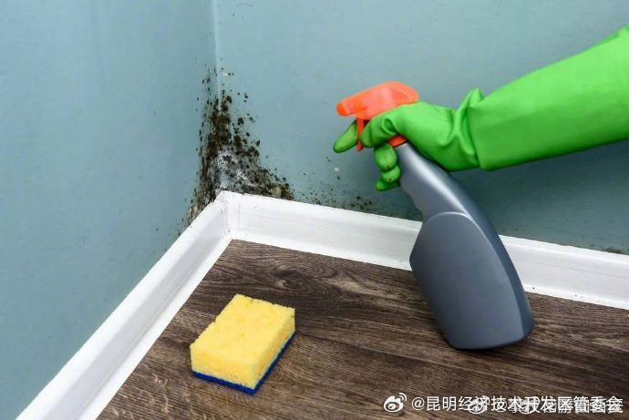 一种1类致癌物就藏在家里，过敏、哮喘都与它有关_http://www.mainten.cn_ycb_第6张