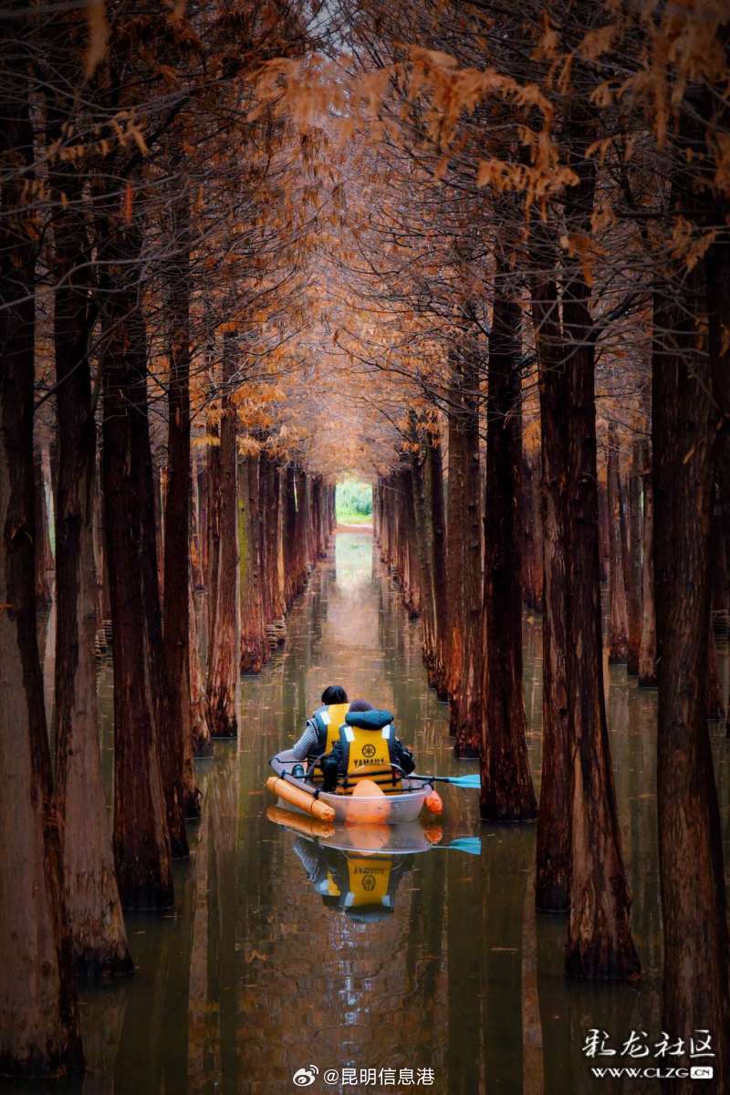 昆明信息港微博