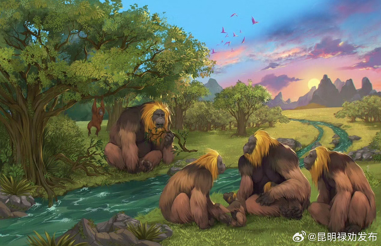 人类远亲步氏巨猿灭绝之谜揭开