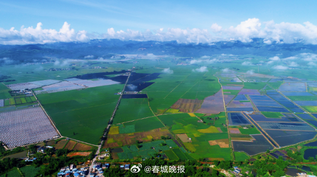 有一种叫云南的生活·一种“象”往的幸福｜勐海县曼勐养村：党组织领办合作社，“一粒米”里说丰年_http://www.mainten.cn_ycb_第5张