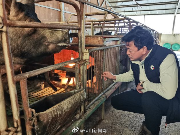 杨维林：勇为畜牧科技推广“第一刀”