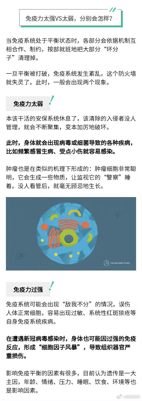 嵩明发布