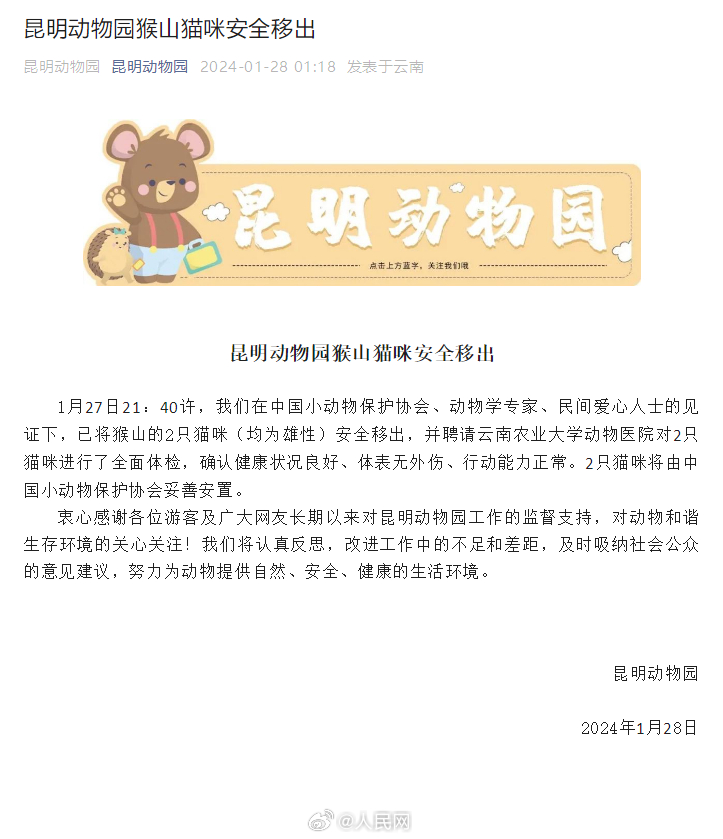 昆明动物园2只猫咪安全移出猴山