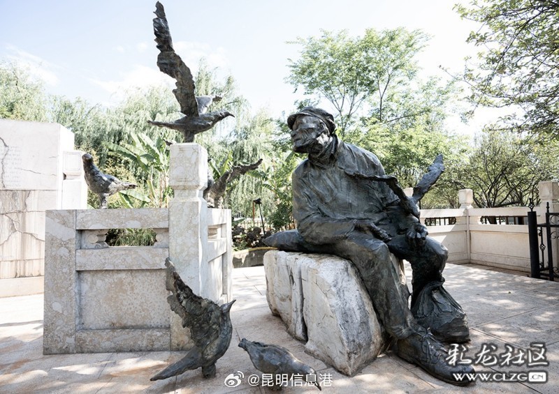 春城处处可观鸥 丨沉浸式打卡翠湖公园 探寻暖冬人鸥奇遇_http://www.mainten.cn_ycb_第6张