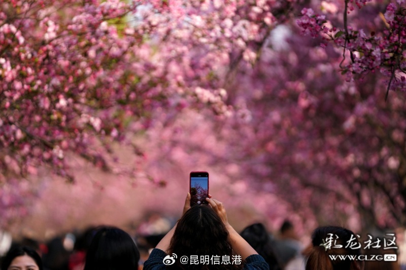 昆明信息港微博