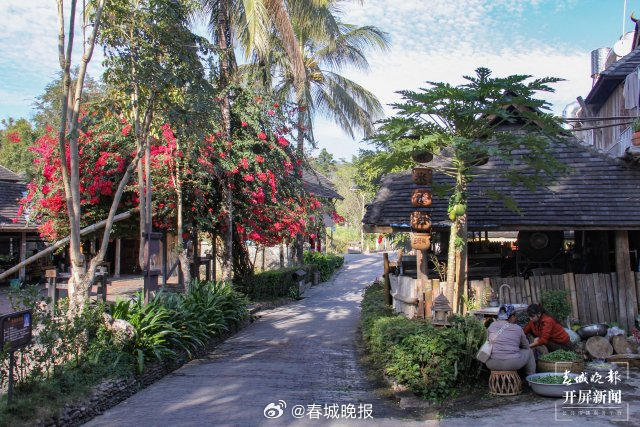 有一种叫云南的生活·一种“象”往的幸福丨勐景来：保护开发齐步走 擦亮“农康体旅”新名片