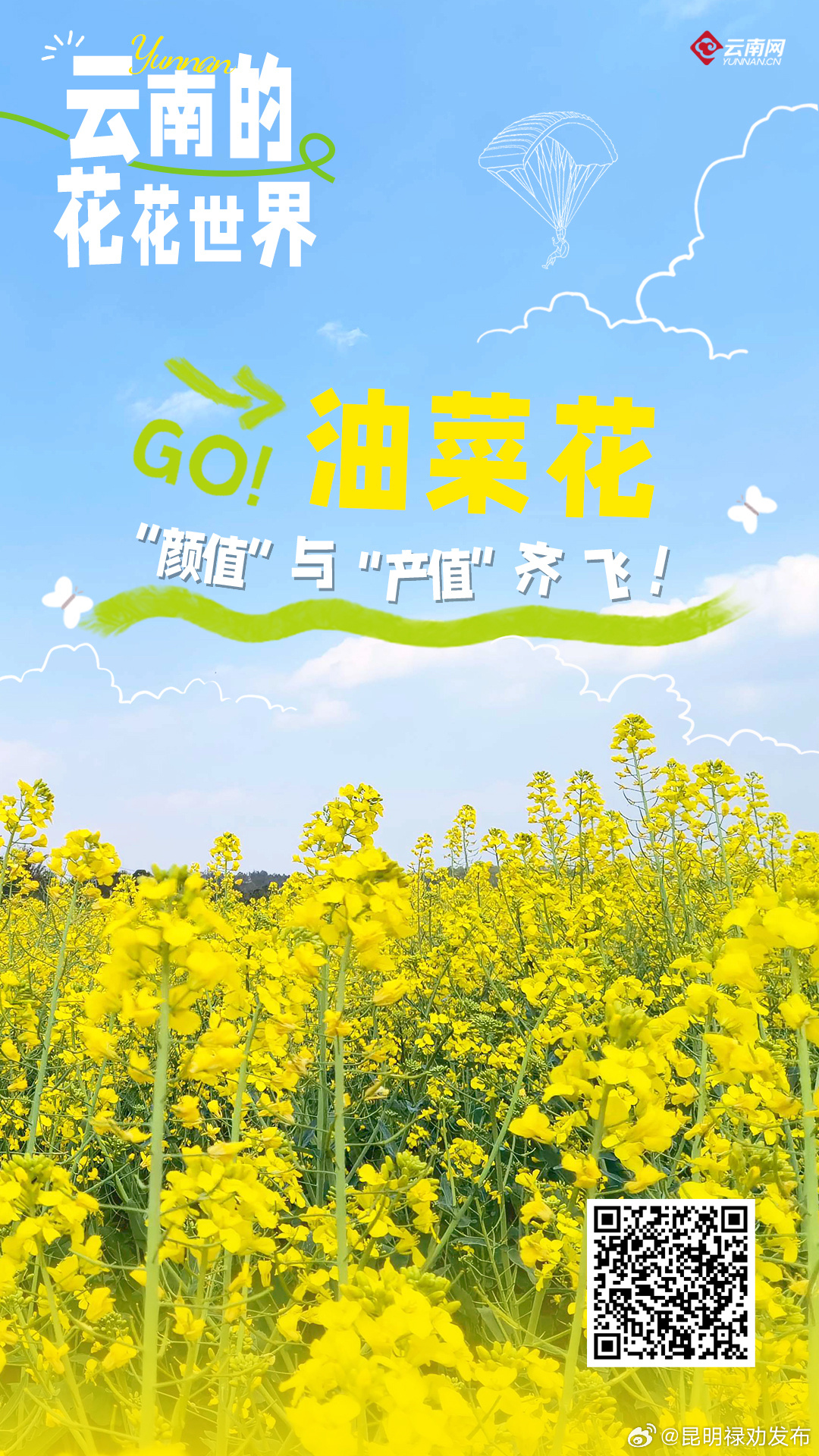 云南的花花世界｜油菜花：“颜值”与“产值”齐飞