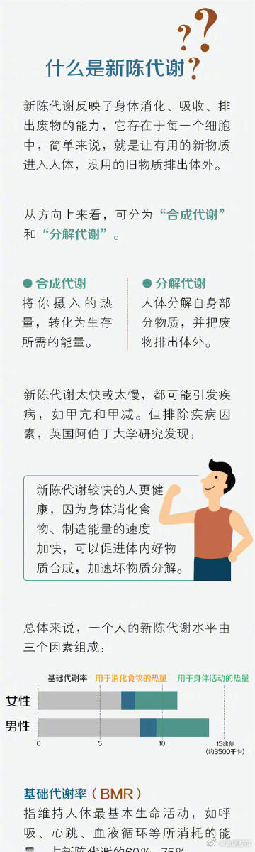 嵩明发布