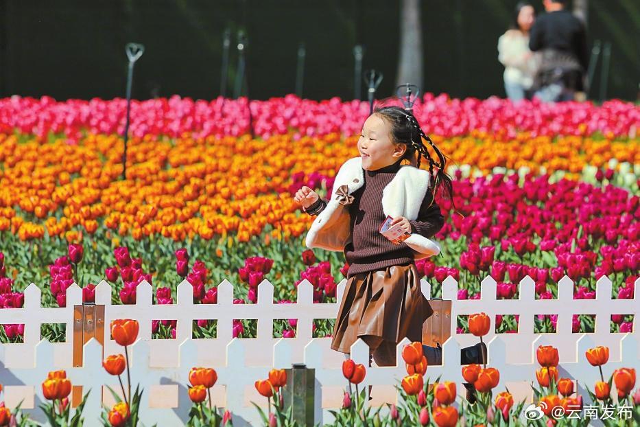 捞渔河湿地公园郁金香迎来盛花期_http://www.mainten.cn_ycb_第2张