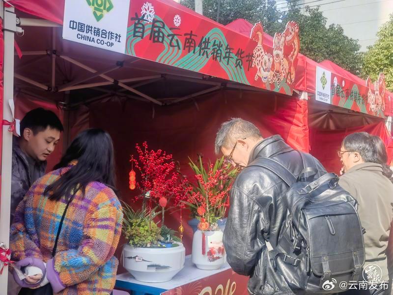 保山名特优农品在昆明展销_http://www.mainten.cn_ycb_第1张