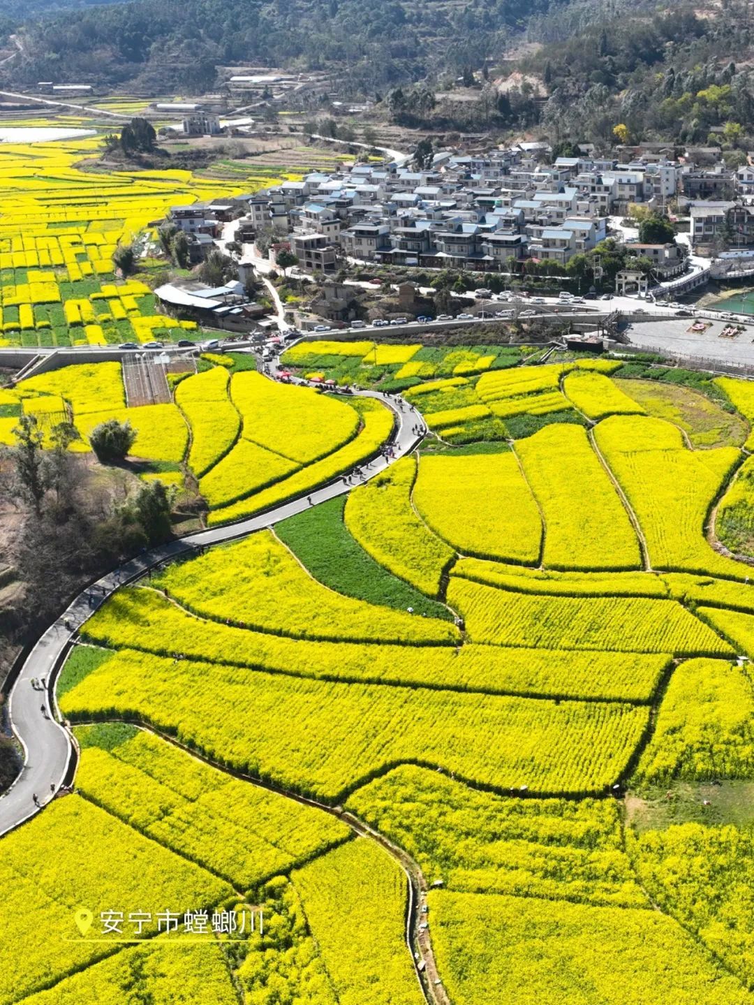 云南省文化和旅游厅