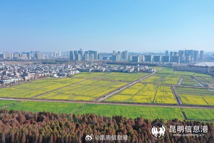 昆明信息港微博