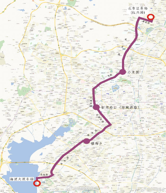 观鸥专线正常开行、多条“观光巴士畅行游”线路推出……昆明公交春节不打烊_http://www.mainten.cn_ycb_第3张