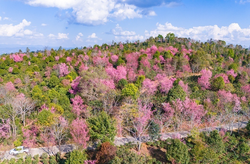 云南省文化和旅游厅