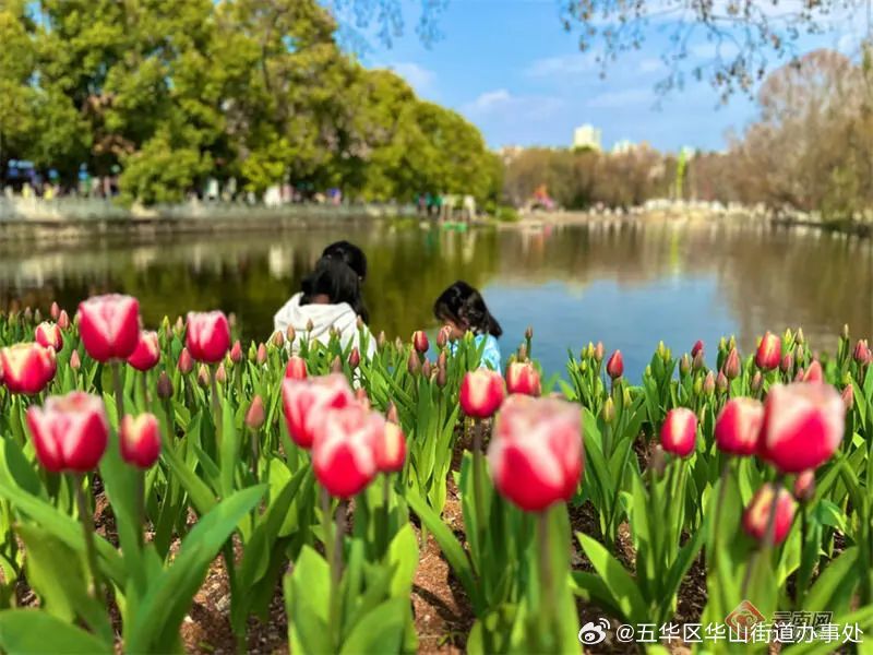 五华区华山街道办事处
