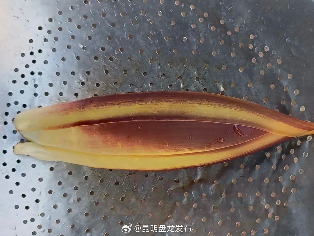 昆明盘龙发布