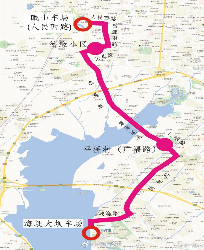 观鸥专线正常开行、多条“观光巴士畅行游”线路推出……昆明公交春节不打烊_http://www.mainten.cn_ycb_第2张