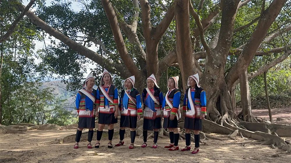 西双版纳傣族自治州人民政府