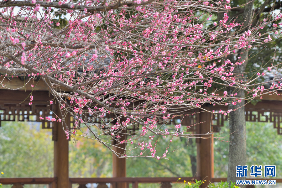 云南省文化和旅游厅