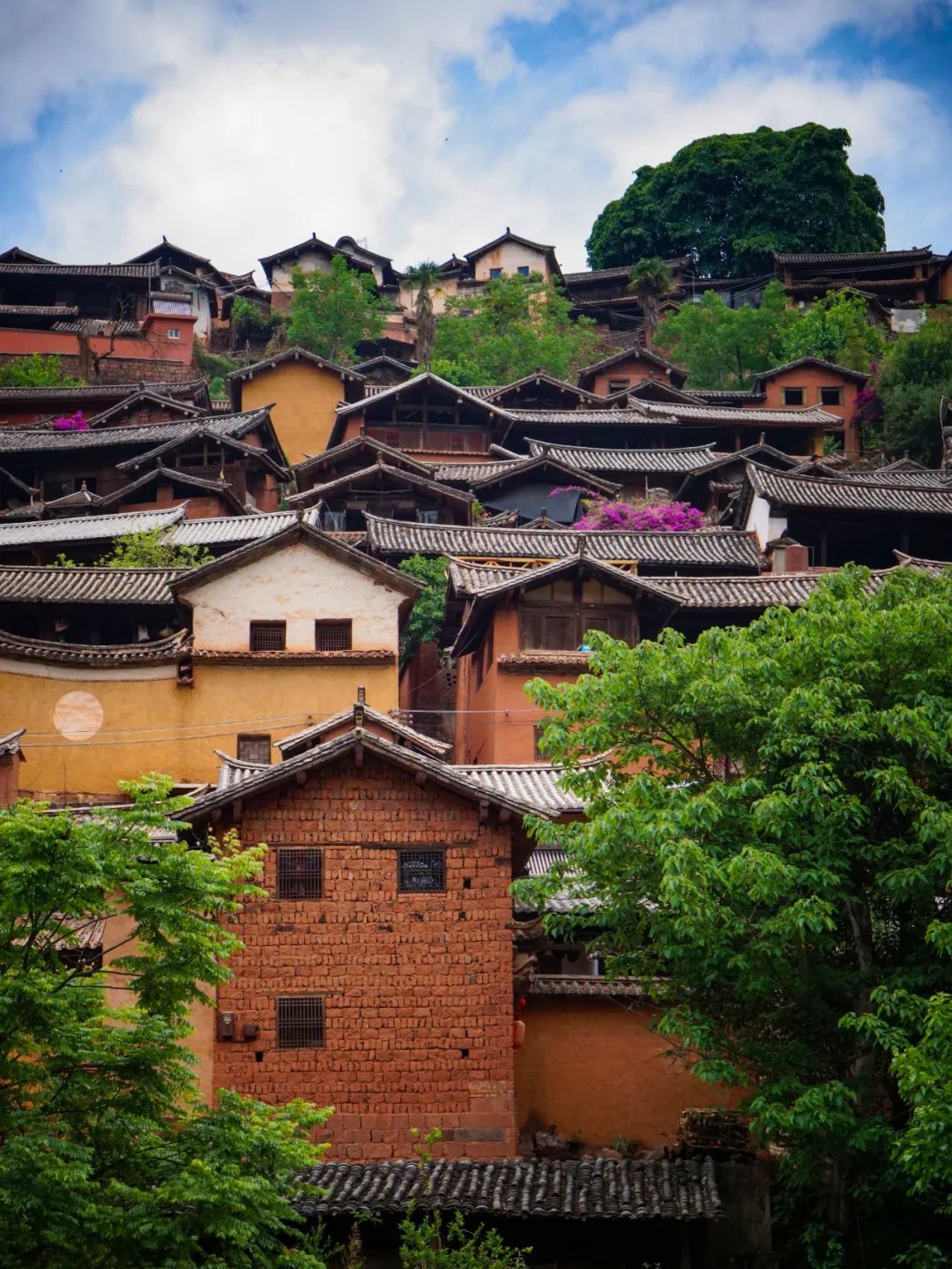 云南省文化和旅游厅