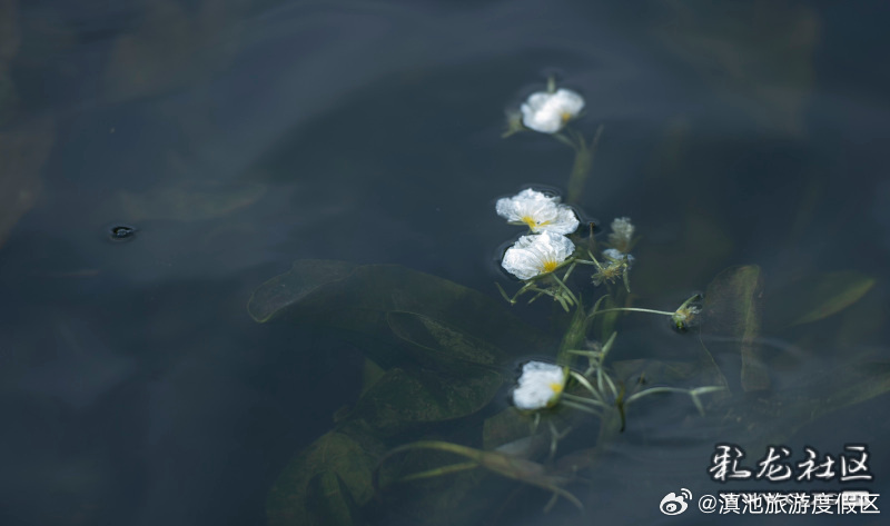 滇池旅游度假区