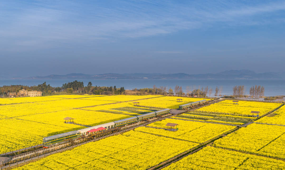 云南省文化和旅游厅