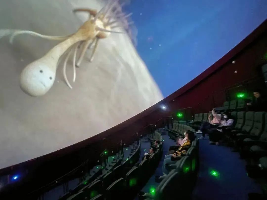 云南省文化和旅游厅