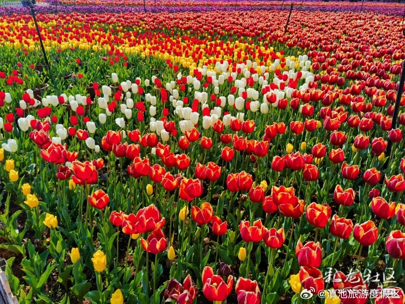 滇池旅游度假区