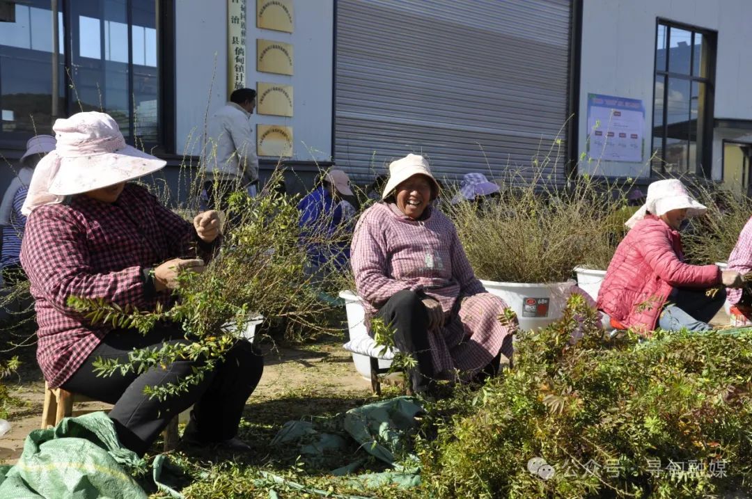 昆明寻甸发布