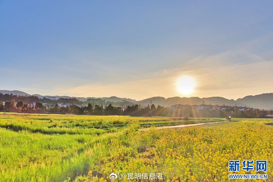 昆明信息港微博