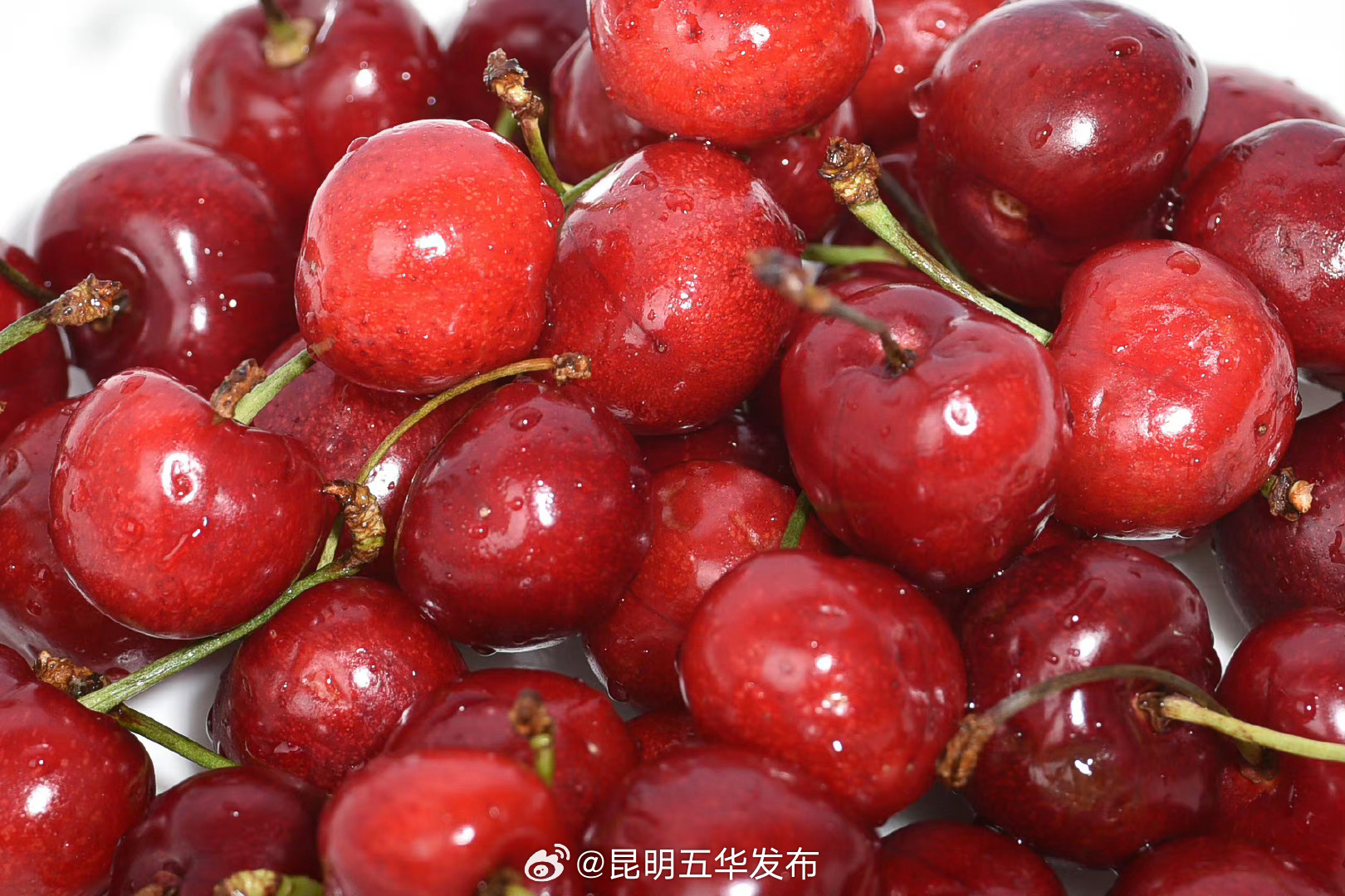 车厘子吃太多会铁中毒吗？_http://www.mainten.cn_ycb_第1张