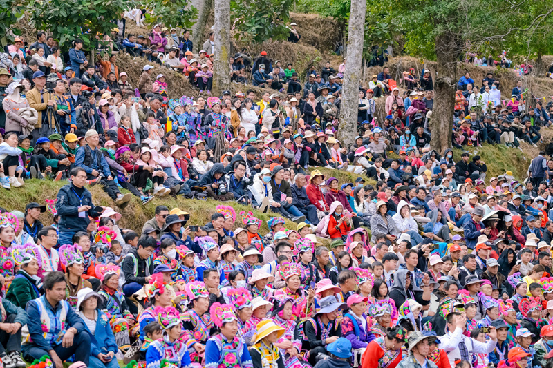 云南省文化和旅游厅