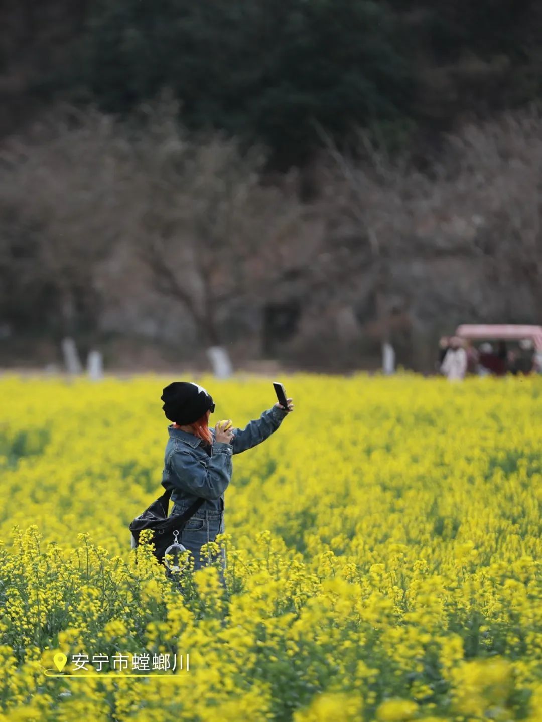 云南省文化和旅游厅