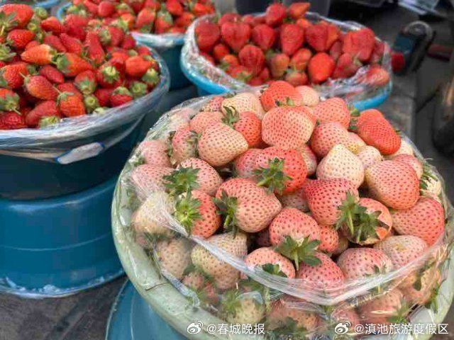 滇池旅游度假区