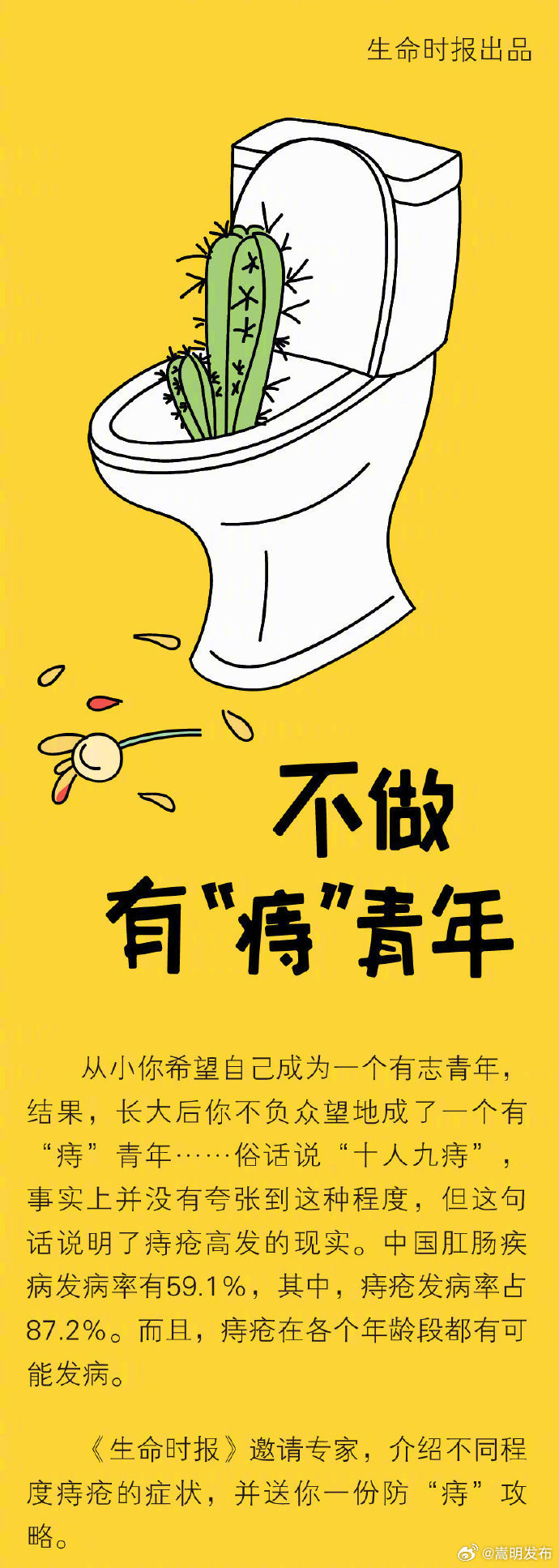 嵩明发布