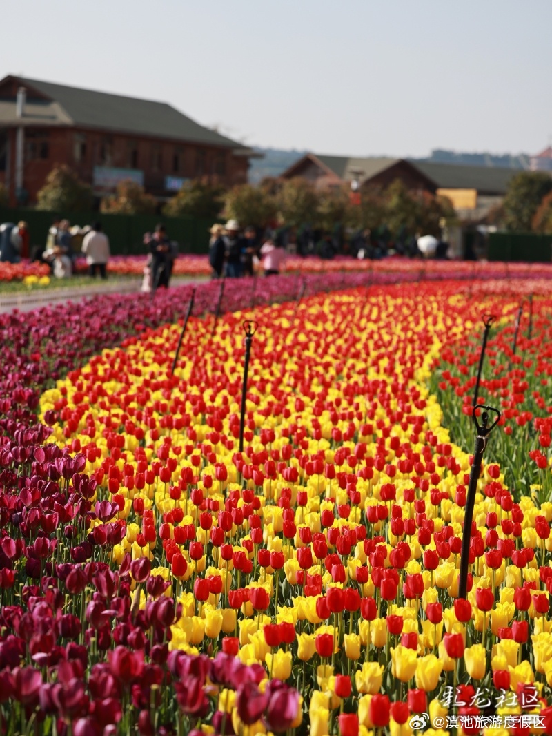 滇池旅游度假区