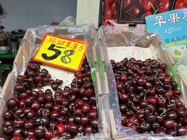 春城晚报