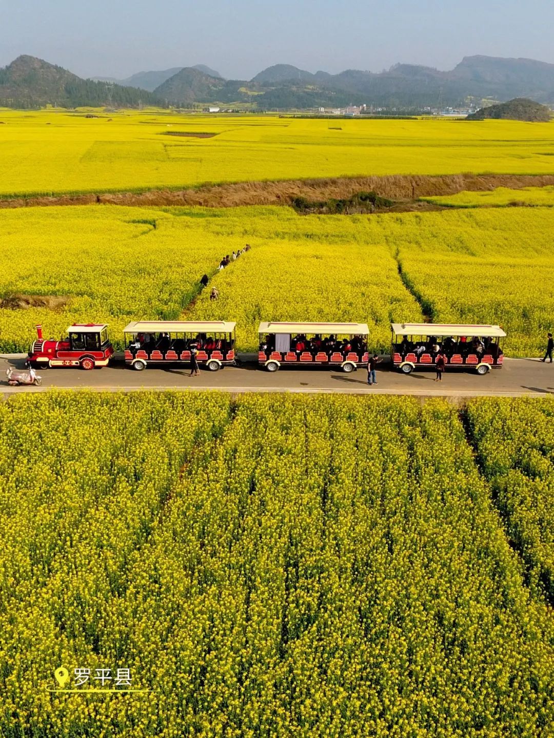 云南省文化和旅游厅