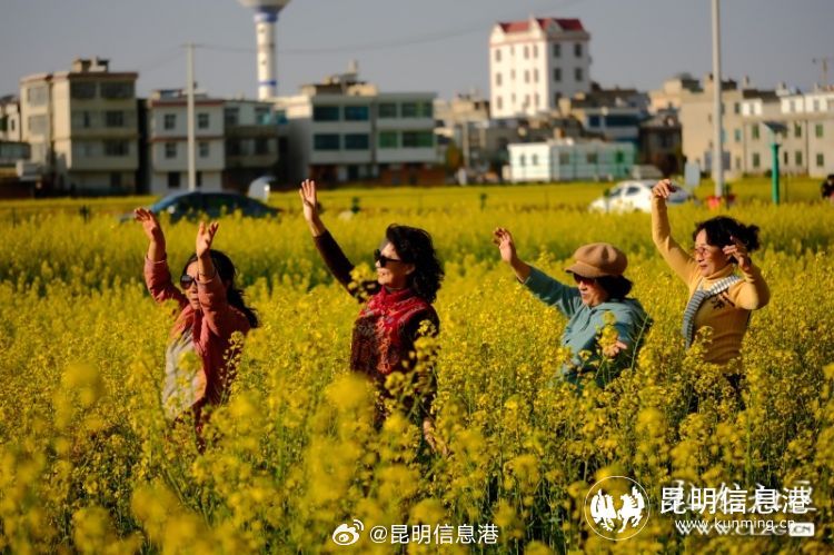 昆明信息港微博