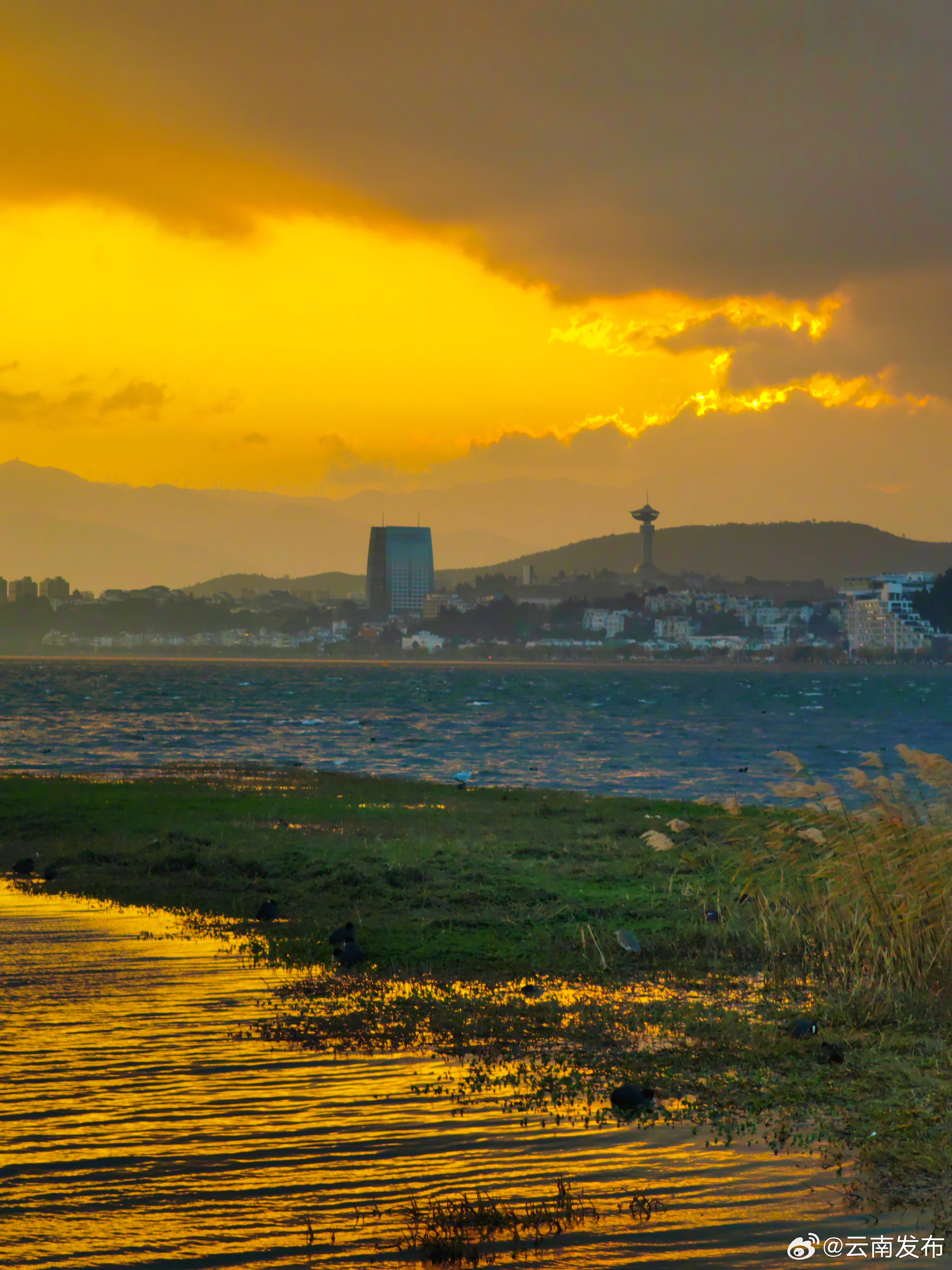 云南发布