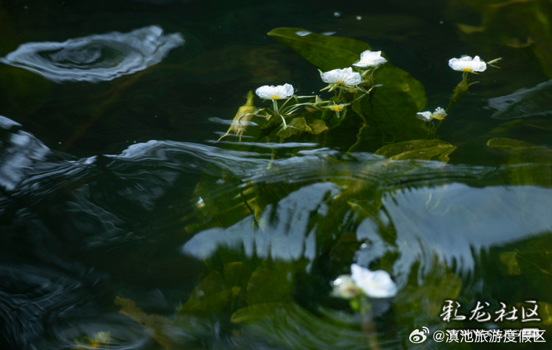滇池旅游度假区