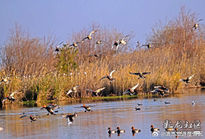 滇池旅游度假区