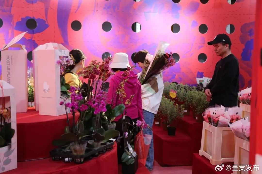 呈贡发布